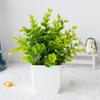 Plantas artificiais, plantas verdes, plantas verdes, plantas de eucalipto em vasos de plástico, plantas pequenas em vasos, grande sucesso de vendas internacionais.