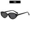 Novos Óculos de Sol Personalizados Cat-Eye, Modernos e Versáteis, Estilo Europeu e Americano, Proteção Solar, Viagem, Férias ao Ar Livre, Ciclismo, Óculos de Sol Transfronteiriços