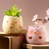 Oso Gordito Lindo Dibujo Animado Animal Pintado Forma Especial Transpirable Maceta para Suculentas Personalizada Adornos Súper Lindos Manualidades Venta al por Mayor