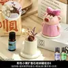 Cerdo Emocional Difusor de Aceites Esenciales de Aromaterapia sin Llama Piedra Cristal Decoración Interior Hogar Larga Duración Recámara Regalo de Cumpleaños
