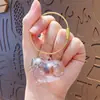 Cápsula de Armazenamento de Pelos de Gato Azul Transparente Pingente Gashapon Caixa de Armazenamento de Pelos de Gato Pingente de Chaveiro Coleta de Pelos de Gato