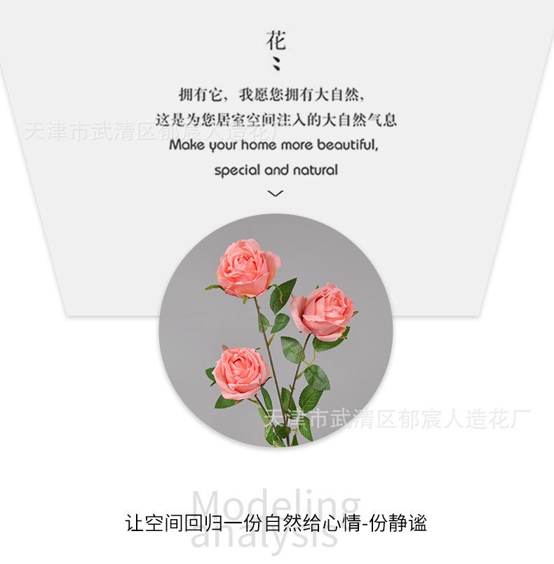 详情_05.png