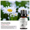 Óleo Essencial Único Transfronteiriço Jasmim Frésia Aroma para Carro Óleo Essencial de Planta Floral Gardênia Amostra de 10ml