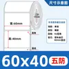 Etiqueta Térmica a Prueba de Cinco Elementos Impermeable y Resistente a Bajas Temperaturas 60*40 30 Fresco Cadena de Frío Almacenamiento en Frío Etiquetado Papel Térmico Resistente al Desgarro