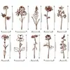 Estacas de Jardim Personalizadas, Decorações de Pátio, Arte em Metal Enferrujado para Paisagismo de Gramado Externo, Ornamentos para Plantas e Flores