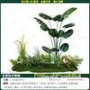 Combinación de diseño de paisaje de plantas verdes artificiales, decoración de ventana, paisajismo con plantas artificiales, arreglo de patio, vestíbulo de entrada, árbol de ambiente interior