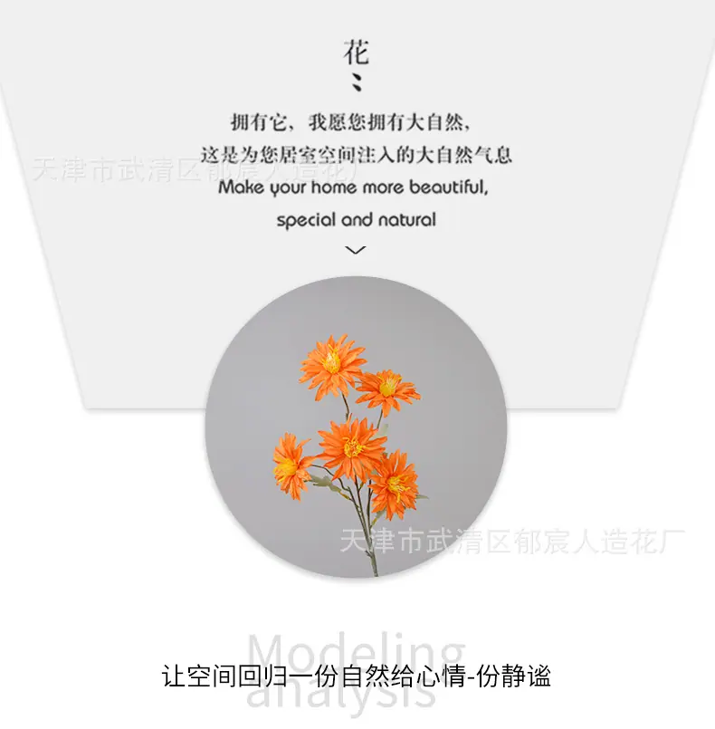 详情_06.png
