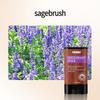 Producto de Venta Caliente Transfronterizo del Sudeste Asiático, Sin Fragancia, Resistente al Olor, Fragancia Ligera, Aroma de Larga Duración, Desodorante Antitranspirante, Comercio al por Mayor de Fábrica