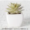 Suculentas Simuladas Personalizadas Cerámica Bonsái Plantas Verdes Escandinavas Adornos Hogar Interior Sala de Estar Flores Falsas Suculentas Plantas en Maceta