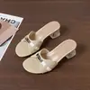 Sandálias de Verão 2026 com Padrão de Crocodilo e Fivela de Metal para Mulheres, Chinelos Transparentes de Cristal com Salto Grosso para Uso Externo, Chinelos Femininos de Salto Médio