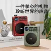 Altavoz Bluetooth Radio Grabadora Tarjeta Reproductor de Disco U Cantante Digital Alto Volumen Rhyme C65