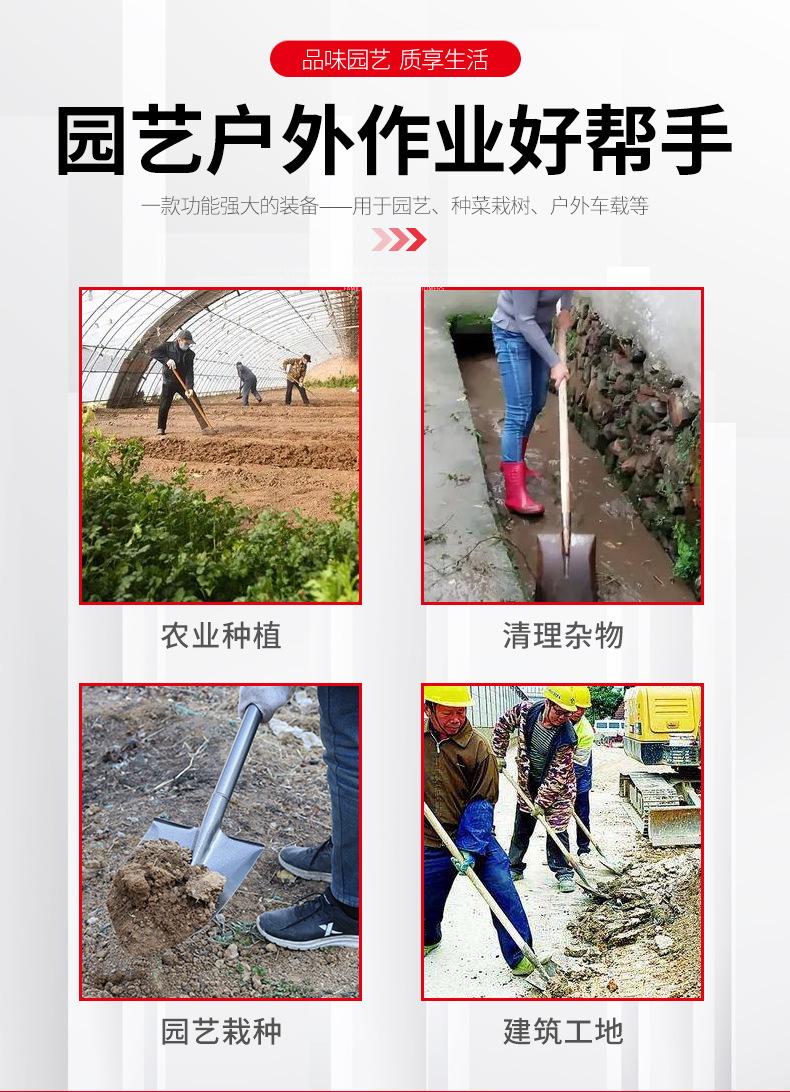 详情页_02.jpg