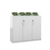 Nuevo Gabinete Divisorio de Oficina Simple Moderno para Archivos Bajo Gabinete de Almacenamiento Macetero de Flores Información Flores y Plantas Fabricante de Madera Venta Directa