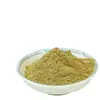 Producido por la Fábrica de Origen, Polvo de Champiñón, Polvo Cocido, Grado Alimenticio, Secado por Aire Caliente, Polvo Crudo, En Stock. Venta al por mayor a partir de 0,5 kg por pieza, grandes cantidades disponibles, excelente precio
