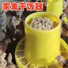 Cubo para Alimento de Pollo, Comedero para Pollos, Cubo de Alimento, Plato de Comida para Pollitos, Bebedero Automático para Pollos, Bebedero para Pollos