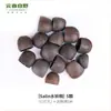 Yunnan Indonésia Fruta Preta Árvore Sino Fruta Natural Casca Sino de Vento Planta Pingente Pacote de Material DIY Feito à Mão Ornamento para Pendurar Venda por Atacado