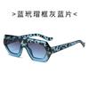 Nuevos lentes planos transfronterizos Europa y Estados Unidos gafas de sol irregulares gafas de sol ins viaje calle color gafas de sol mujeres