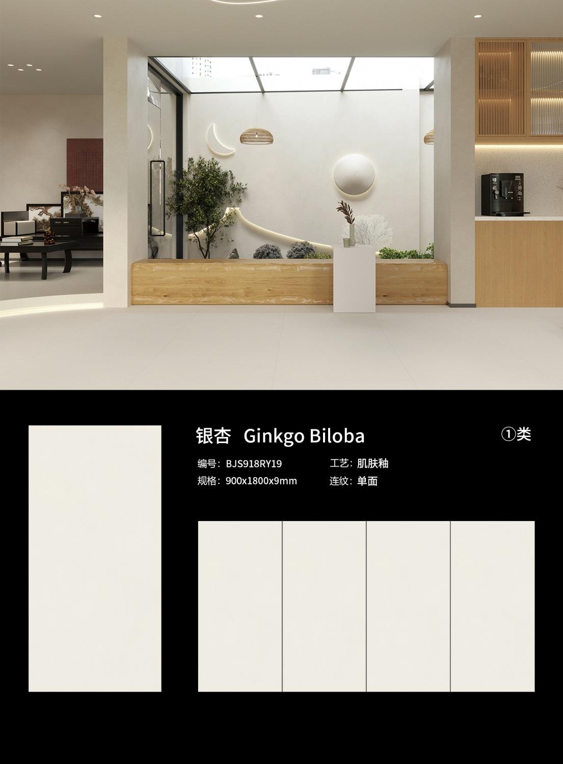 BJS918RY19银杏.jpg