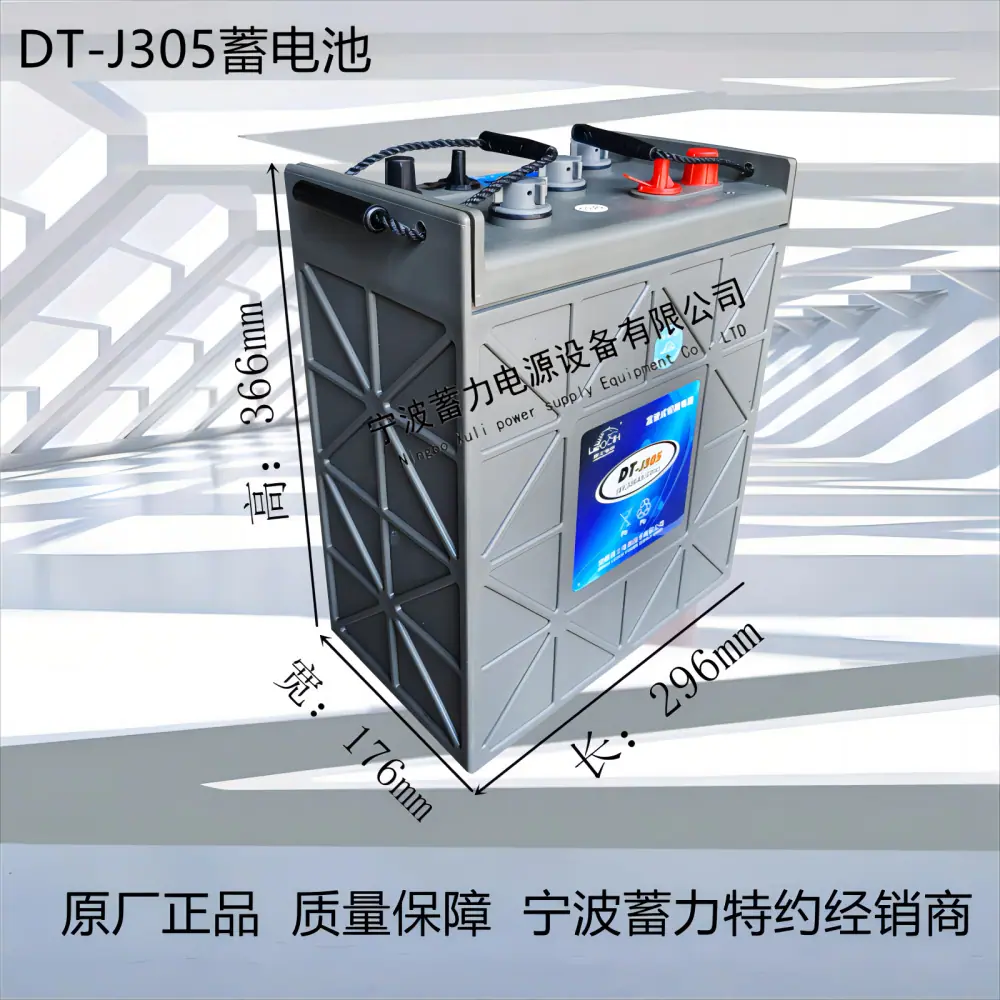 理士DT305蓄电池尺寸(1)(1)
