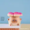 Decorações Criativas Fofas de Desenho Animado para Animais de Estimação Transfronteiriças Lótus Gato Siamês Caixa Surpresa Figurinhas Fofas Decoração de Mesa de Escritório Exibição