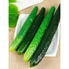 Modelo de pepino de simulación Rodajas de pepino gordo Fruta de pepino verde Gabinete de frutas y verduras Decoración para transmisión en vivo de cocina Accesorios Juguetes para casa de juegos