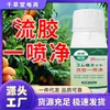 Spray de Cola Fluida Lingying Transfronteiriça para Podridão de Pessegueiro, Especializado para Troncos de Árvores, Podridão da Casca, Podridão de Frutos e Perfuradores de Árvores Frutíferas