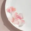 Monocromático Dos Tonos Escarchado Degradado Flor de Pétalo Aretes DIY Colgante Acrílico Personalizado Accesorios para Pasador Venta al por Mayor