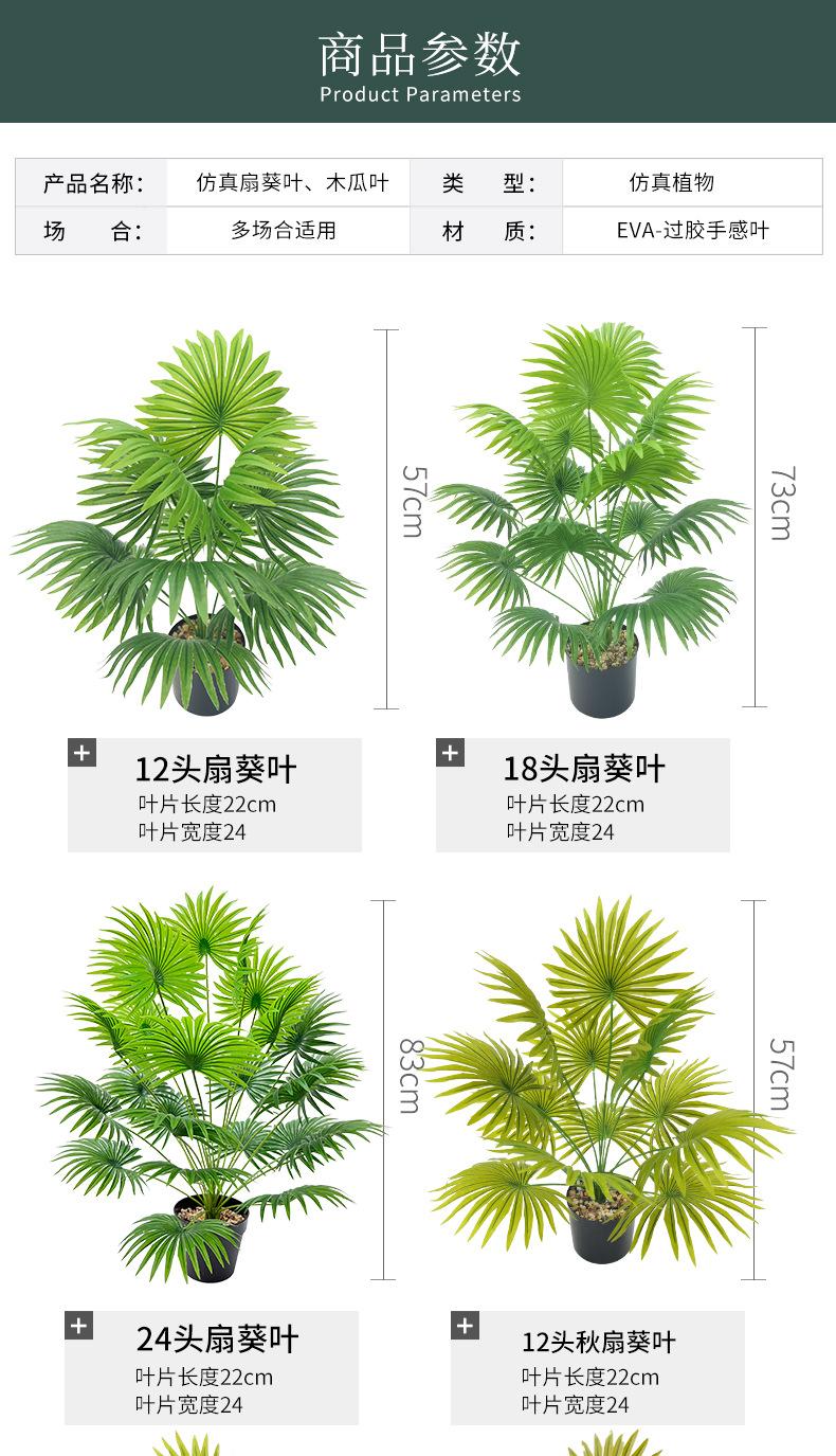扇葵叶_08.jpg