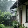Corrente de Chuva Calha Telhado Dispositivo de Drenagem de Telhado Corrente Guia de Água Pousada Drenagem Corrente de Água da Chuva Calha Tubo de Descida Instalação Fabricante