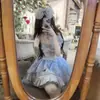 Elogio del Primer Amor, Mariposa Brillante, Lazo Grande, Vestido de Pastel de Cumpleaños Estilo Princesa, Diario Volador Lolita Original