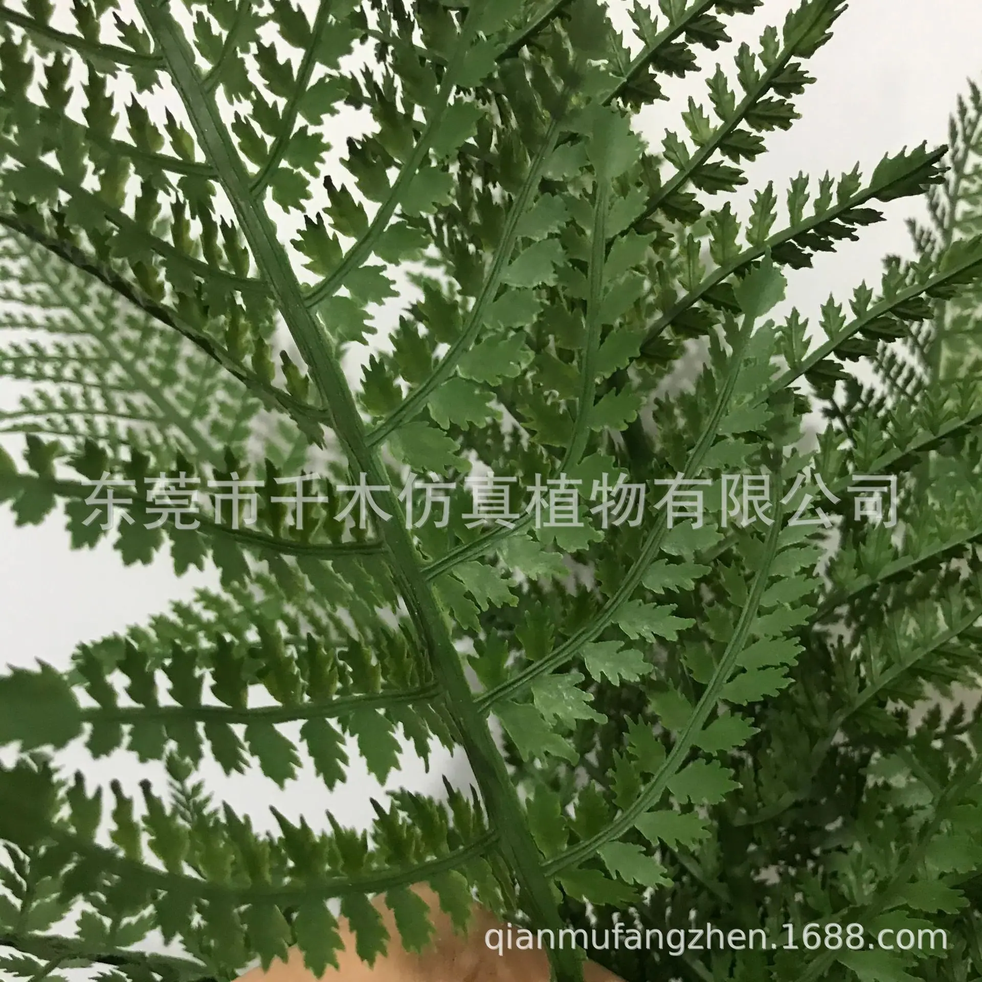 微信图片_20210515163914