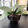 Flores Artificiales Película Impresa en 3D Textura Orquídea Bonsái Planta Artificial Planta en Maceta Artificial Flor Simulación