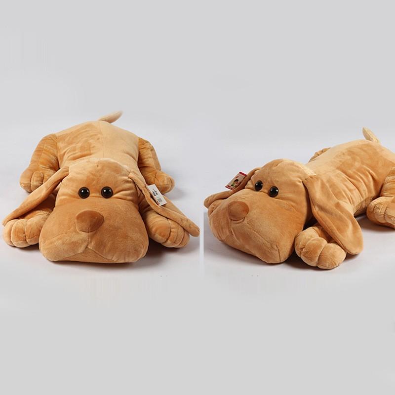 8459012042_986253582