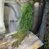 Helecho Colgante Estilo Bosque Techo Pared Verde Planta Decoración Enredadera Tipo Hilo Colgante de Helecho