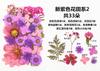 Bolsa de Rafia para Plantas Bolsa de Material para Estampado de Flores Secas Espécimen de Hoja de Flor Real Pintura DIY Marcapáginas Goteo de Pegamento Posavasos de Flores Secas
