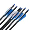 Cabeça rotativa substituível flecha fibra de vidro flecha fibra de vidro arco reto flecha tradicional tiro ao ar livre entretenimento Arco Flecha