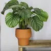 Maceta de barro rojo, cerámica rústica y fresca, maceta estilo coreano, maceta en relieve, transpirable, resistente a altas temperaturas, engrosada, adecuada para jardinería de suculentas