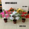 Ofrendas Florales de Cinco Fases para el Culto a los Ancestros, Flores de Cinco Siete Cinco Macetas, Flores en Maceta para el Festival Qingming, Flores Artificiales de Bonsái, Flores Falsas de Crisantemo, Juego de Flores de Cinco Siete