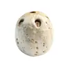 Semente de Bodhi de Seis Vias e Cinco Olhos Sementes Originais Fruta de Cinco Olhos Jujuba Selvagem do Sul Acessórios de Contas para Pulseira DIY Fábrica de Contas