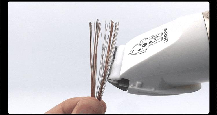 老人头B56宠物款详情750_07