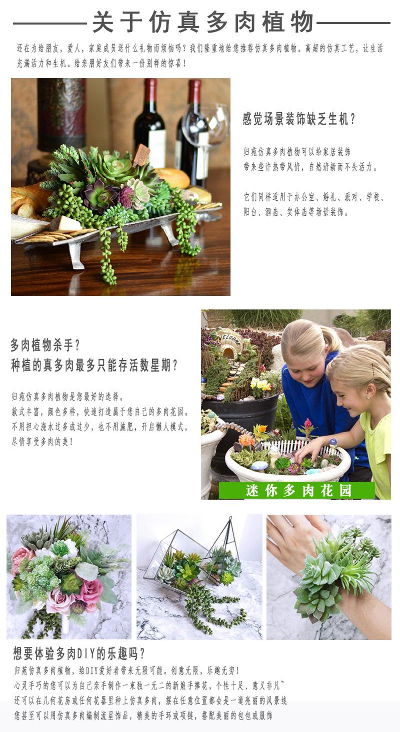 2.归苑 关于仿真多肉 拷贝