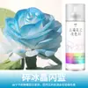 Tinta Spray que Muda de Cor para Flores em Estoque para Arte Floral e Floriculturas, Tinta Spray Autosspray em Azul Gelo e Agente Spray Colorido na Cor Ameixa