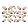 Uñas de Almendra Portátiles Transfronterizas, Relieve Tridimensional de Alta Gama, Manicura Irregular Francesa con Borde Dorado, Esmalte de Uñas Portátil al por Mayor