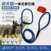 Corda de Tração P-Chain Tecida de Múltiplos Diâmetros Mais Vendida da Amazon, Guia de Treinamento para Animais de Estimação Integrada de Nylon Resistente ao Desgaste