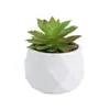 Venta al por mayor de plantas suculentas artificiales, lote mixto de plantas suculentas en maceta diamante, ventas directas de fábrica, decoraciones de plantas verdes para oficina