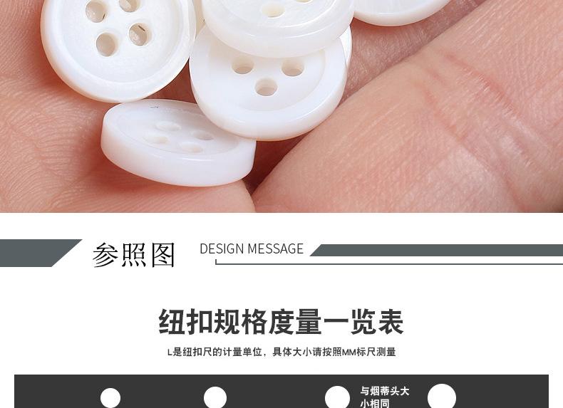 四眼珍珠贝_10.jpg