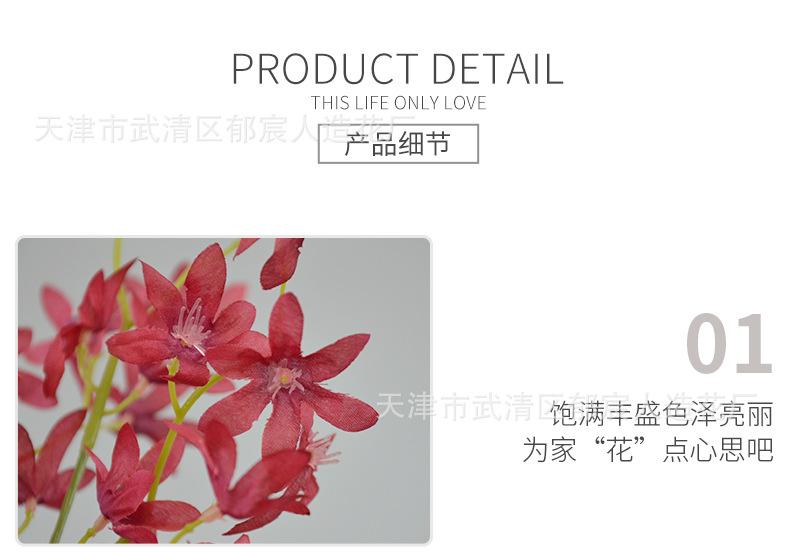 详情_08.png