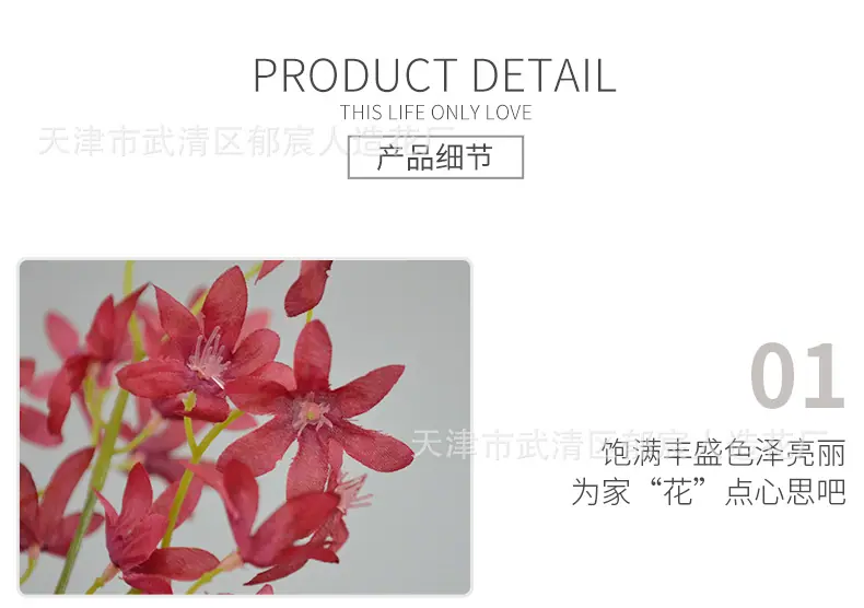 详情_08.png