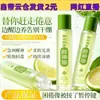 Dr. Óleo Refrescante Herbal Roll-on de Xiangmei: Óleo Essencial Refrescante, Revigorante, Anti-Fadiga, Calmante