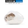 Arena de Baño Star Hamster Arena para Orina Set Arena de Baño Desodorizante Baño Oso Dorado Lavabo de Baño Suministros para Hámster